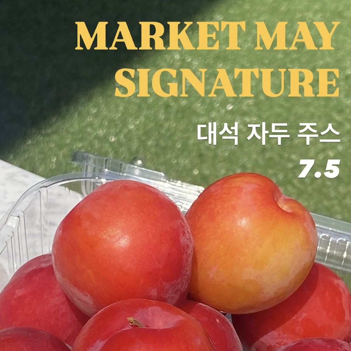 베이글과 빵